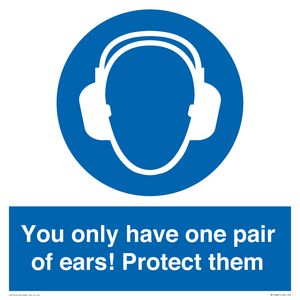 Mandatory: You only have one pair of ears! Protect them